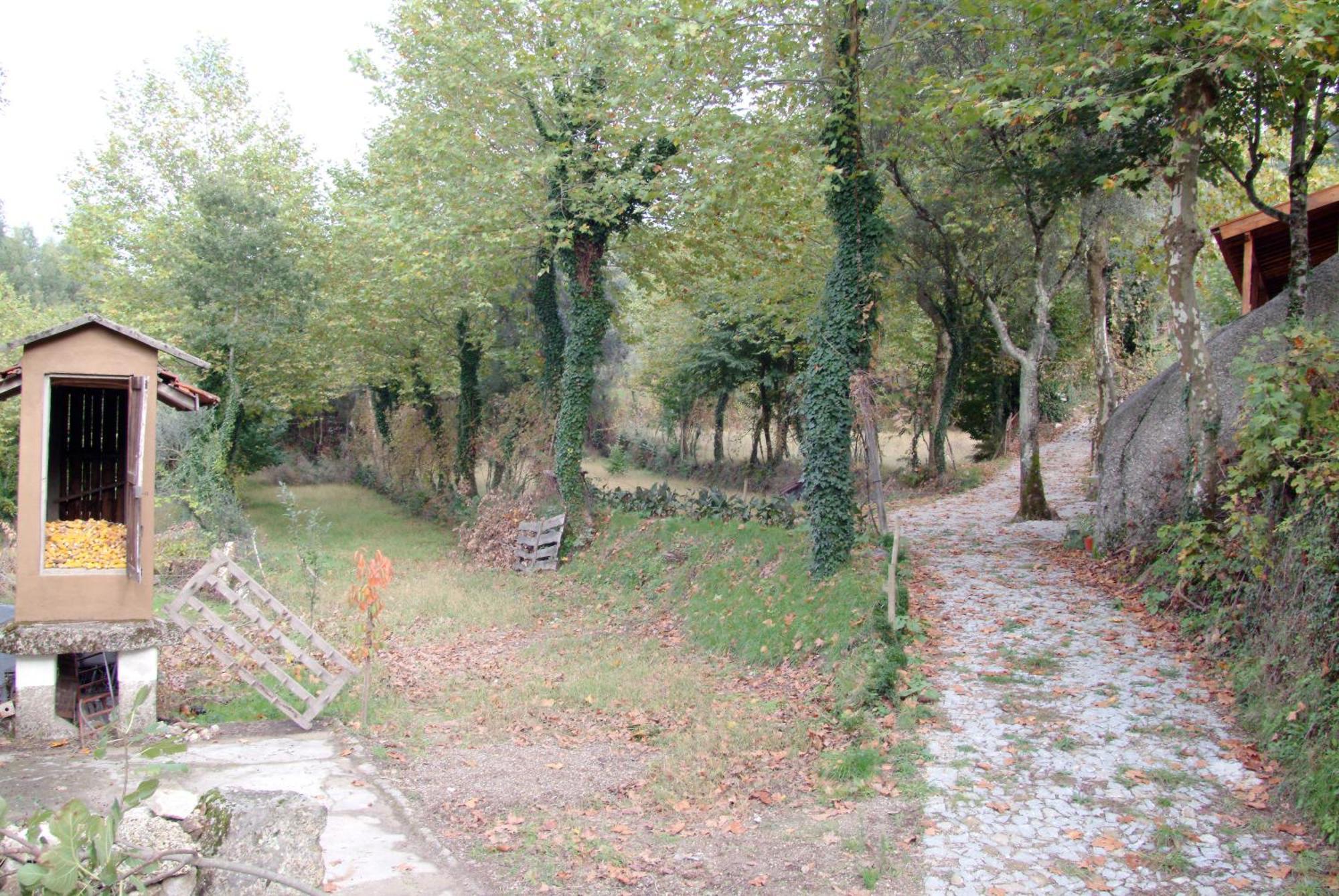 维埃拉·多米尼奥 Quinta Da Veiga E Malhadoira旅馆 外观 照片
