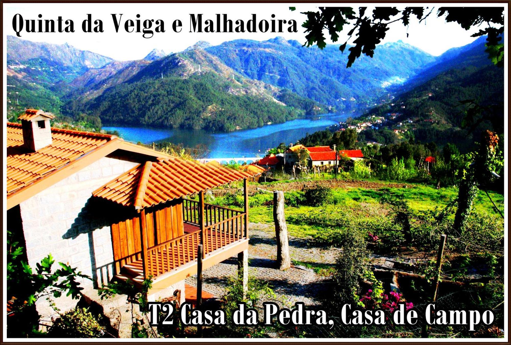 维埃拉·多米尼奥 Quinta Da Veiga E Malhadoira旅馆 外观 照片